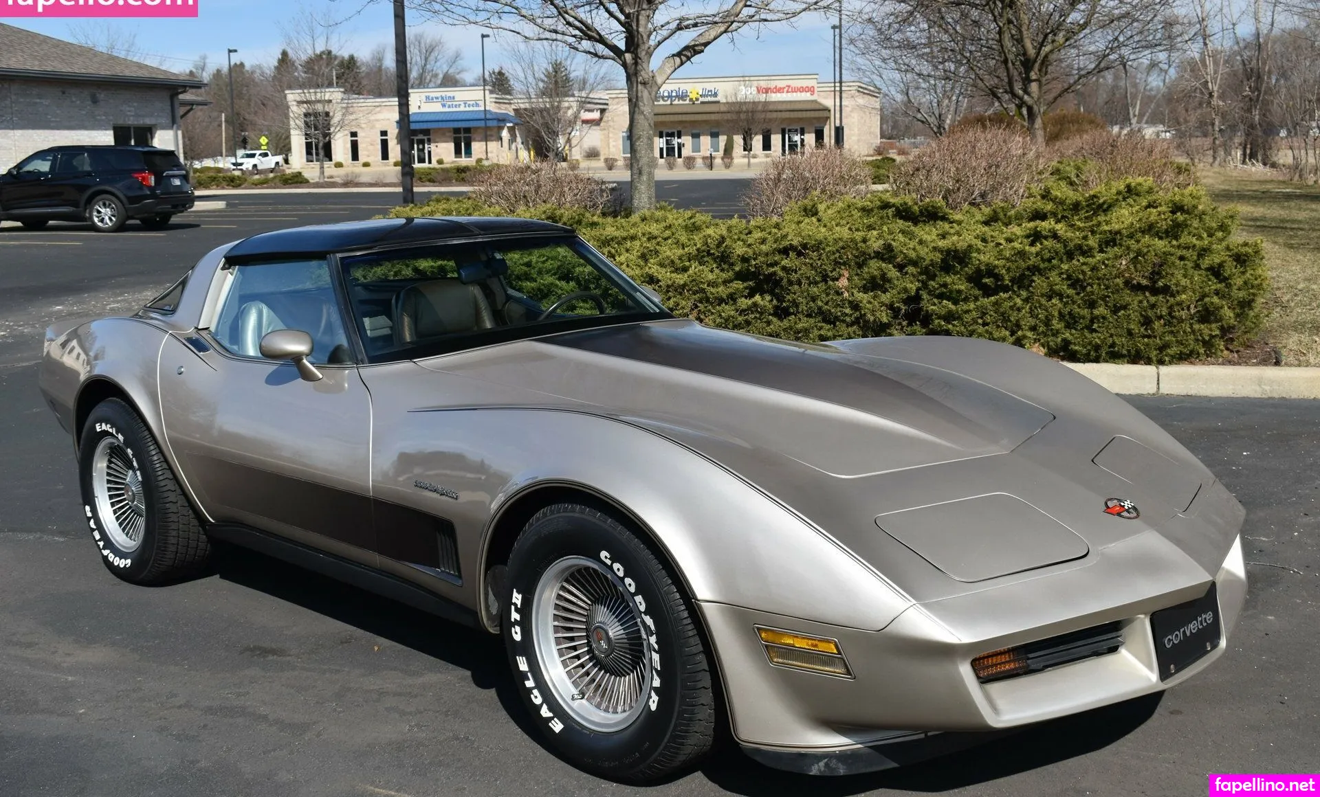 1982.corvette Nude Leaked OnlyFans Photo #GcBiZVaR19