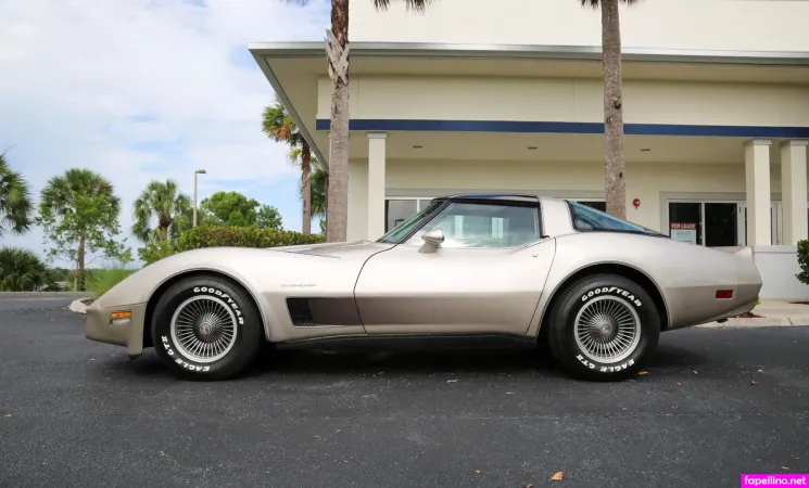 1982 Corvette OnlyFans Thumbnail #gLsafFlUMa