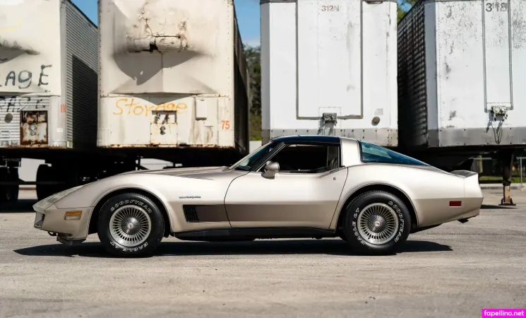 1982 Corvette Main Profile Photo