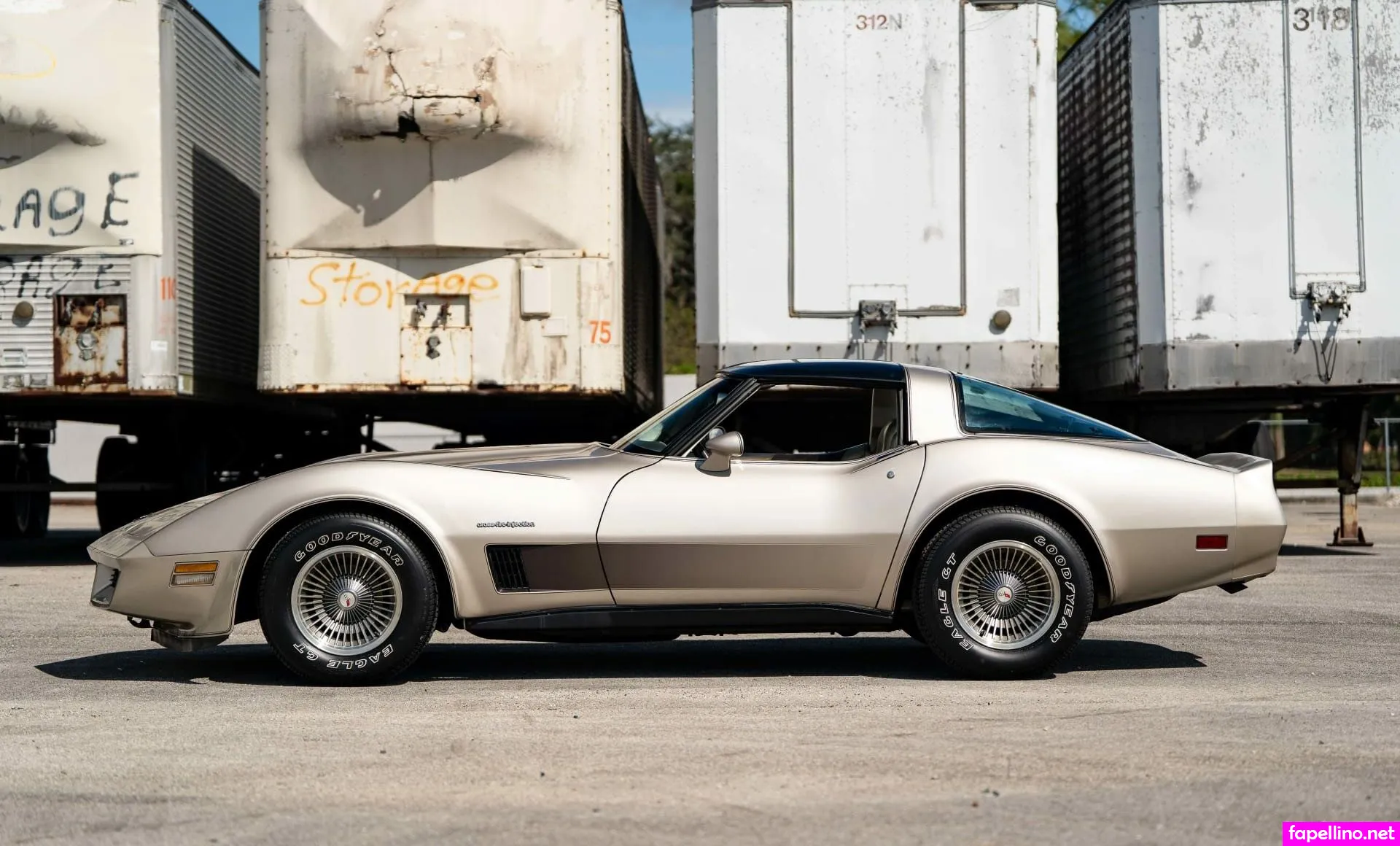 1982.corvette Nude Leaked OnlyFans Photo #qExMeENkHu