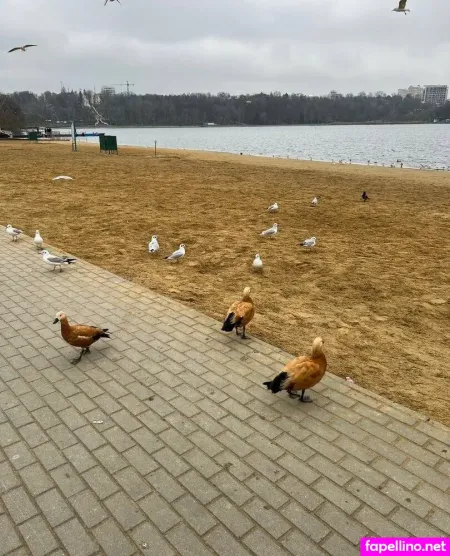 69kamilla69 OnlyFans Thumbnail #twQziQ9y2b