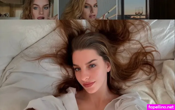 8raja Meissner Main Profile Photo