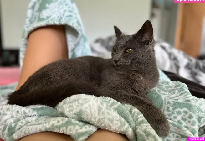 Aalikalixxx OnlyFans Thumbnail #HAbBUnFBEo