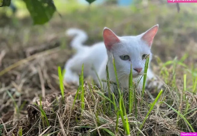 Aalikalixxx OnlyFans Thumbnail #Y4ZaR52Fz2