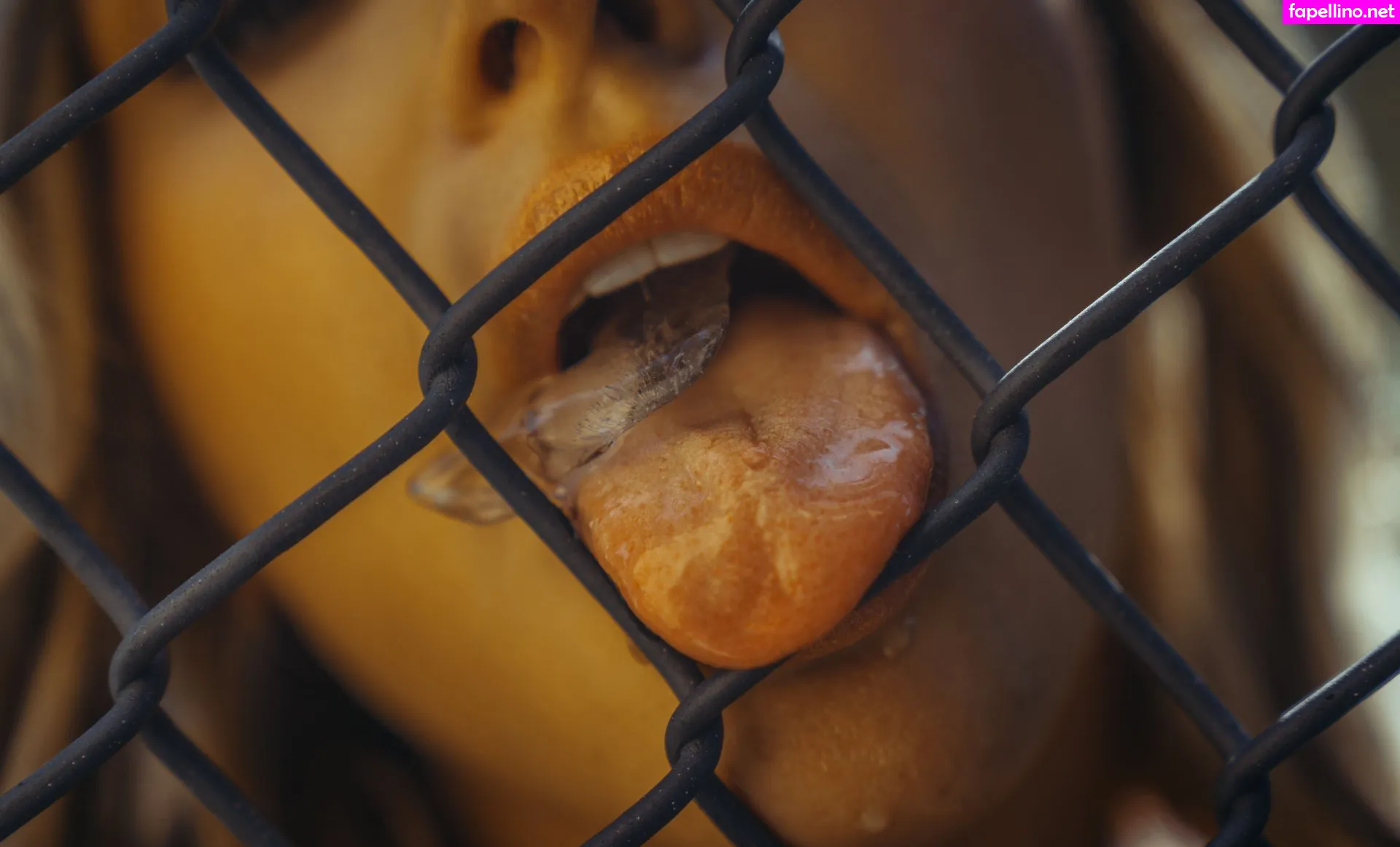 abella_danger, abelladanger, dangershewrote Nude Leaked OnlyFans Photo #BHMFxBC2sx