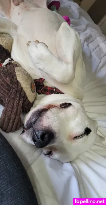 Ablondinationvip OnlyFans Thumbnail #In9CnGUcRp