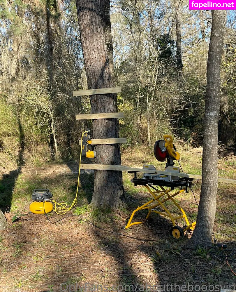 abouttheboobsvip, jenintexas Nude Leaked OnlyFans Photo #WxULDKu09D