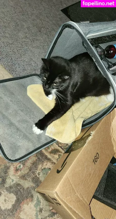 Accidentallydelicious OnlyFans Thumbnail #6UK0799pXF