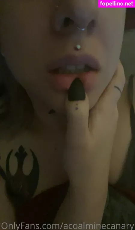 Acoalminecanary OnlyFans Thumbnail #V2iwftx7IX