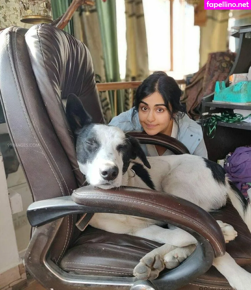 adah_ki_adah, https: Nude Leaked OnlyFans Photo #yEILqUldkS