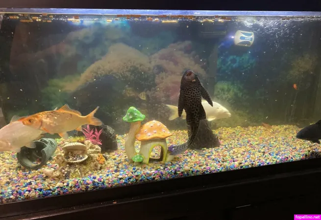 Adamandlena Main Profile Photo