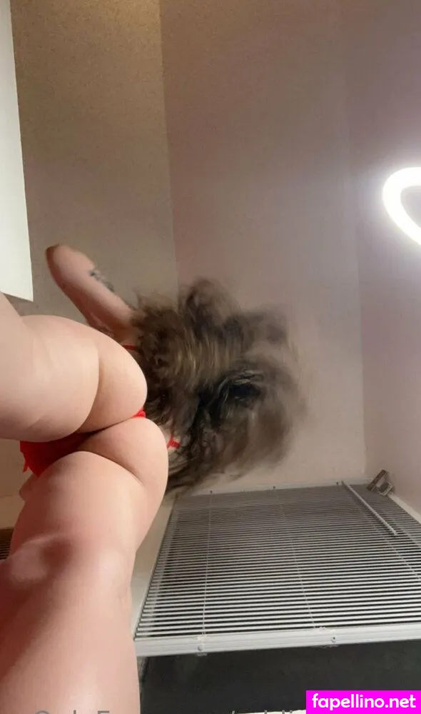 addigoeswild, addisonraee Nude Leaked OnlyFans Photo #mCpKdvWfMH