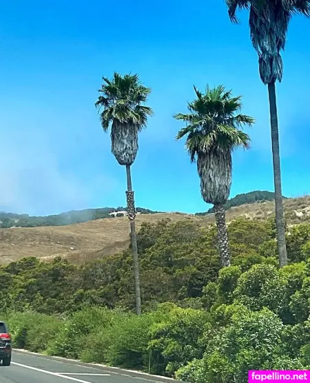 Addyeliza843 OnlyFans Thumbnail #GyMhKuCz2y