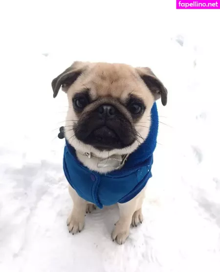 Adelia Adele OnlyFans Thumbnail #ROLJxKclND