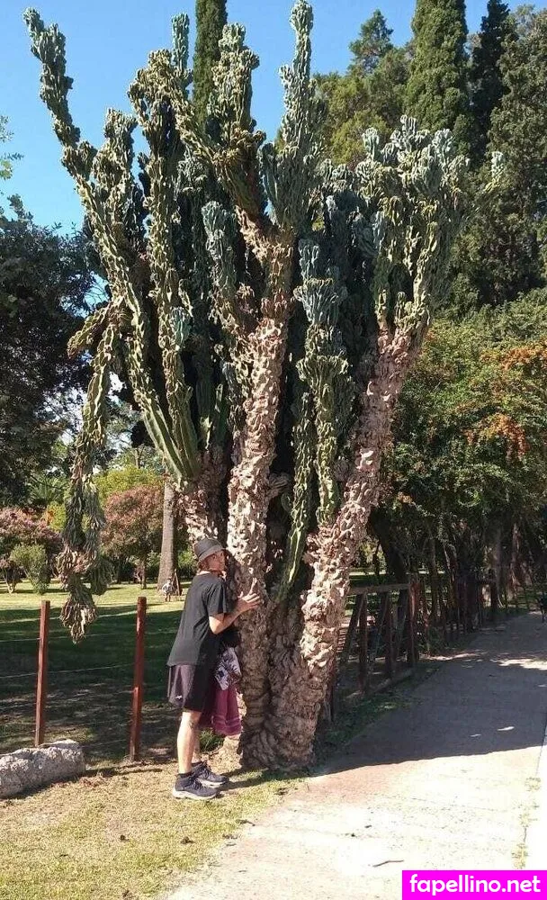 adoniiis50_, adonis_ftm Nude Leaked OnlyFans Photo #OYE6WI0LwL