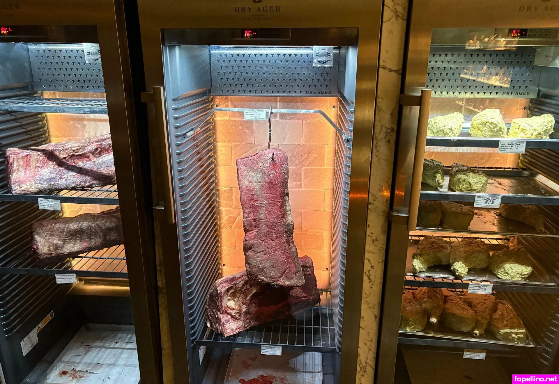 adonisbreedsvip Nude Leaked OnlyFans Photo #b68vxeOesH