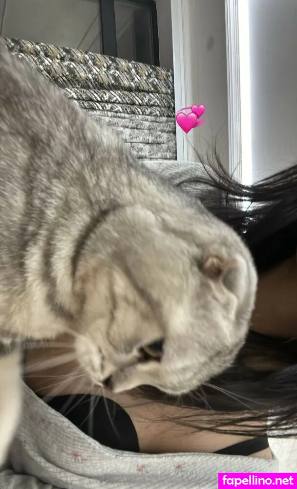 ari_lee_, arialeexxx Nude Leaked OnlyFans Photo #oM6GwfqBMC