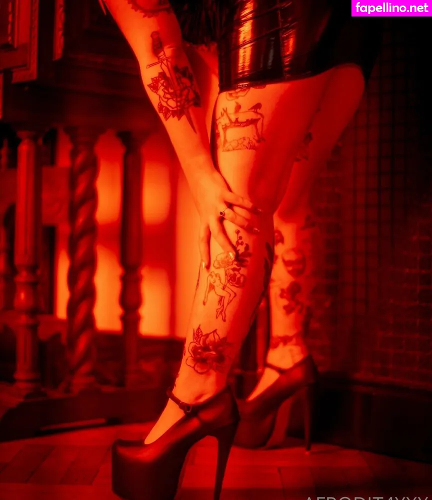 afrodit4x, afrodit844 Nude Leaked OnlyFans Photo #Gs4BbV1TSX