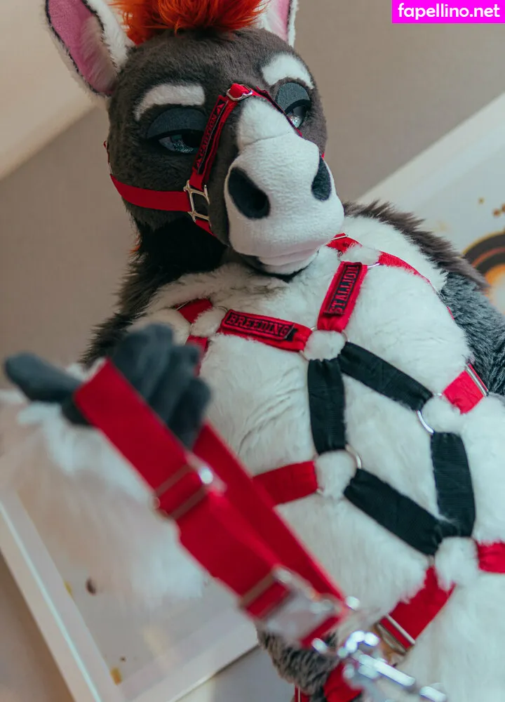 after_neigh, afternn Nude Leaked OnlyFans Photo #VqzTb3lu0F