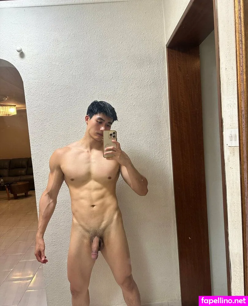 aidenjin, aidenjinng Nude Leaked OnlyFans Photo #oybErzr4Wu
