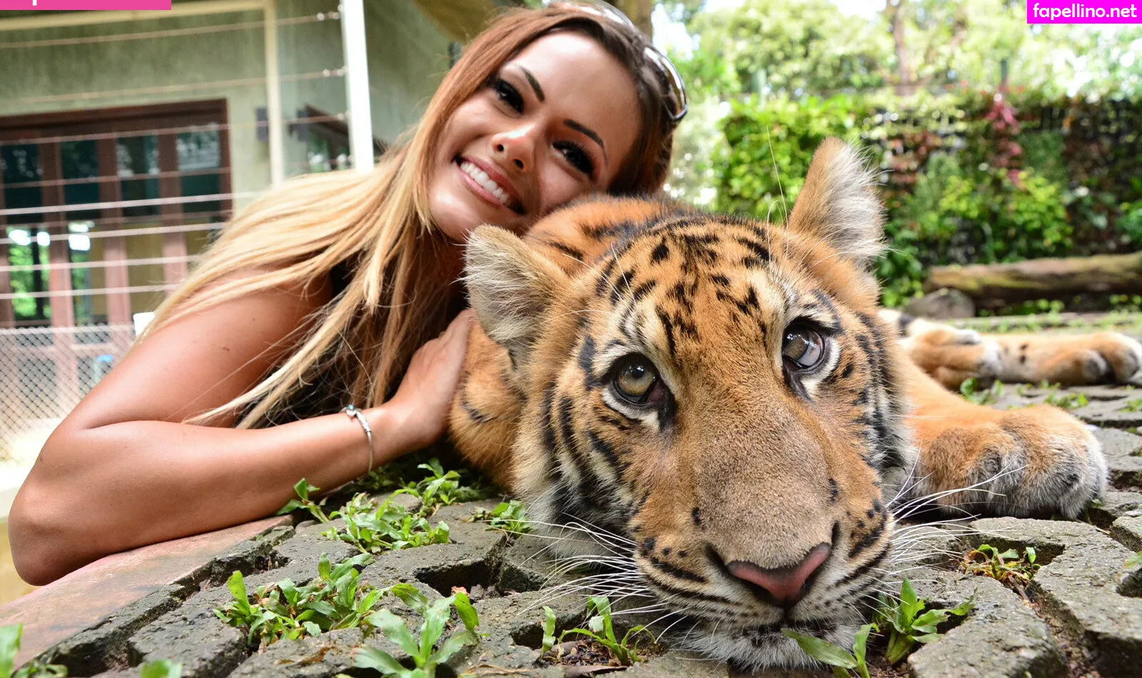 ailadonovaninc, ailadonovannn Nude Leaked OnlyFans Photo #g56lMF5Ald