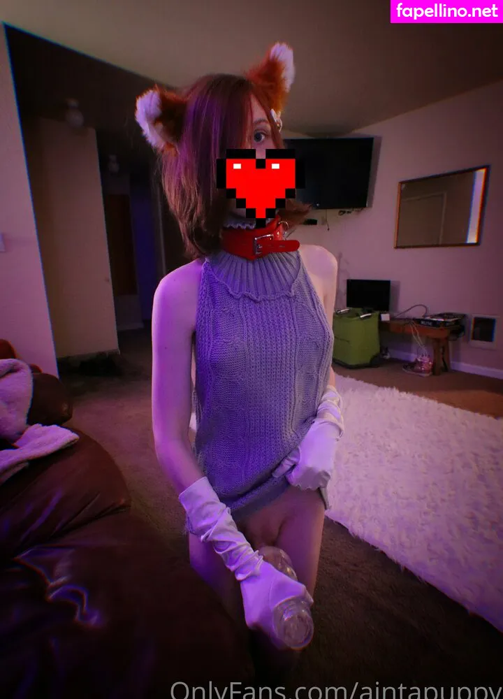 aintapet, aintapuppy, anyuser Nude Leaked OnlyFans Photo #BefsLY4t62