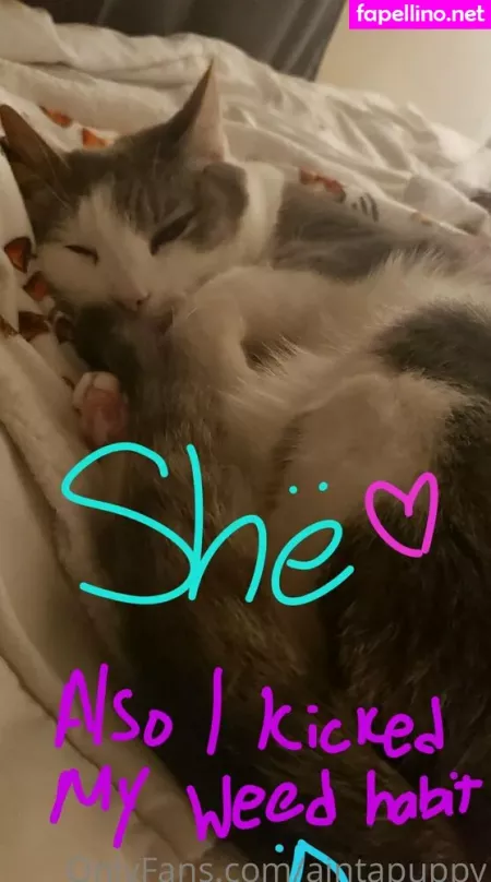 Aintapuppy OnlyFans Thumbnail #b9SWGprxr3