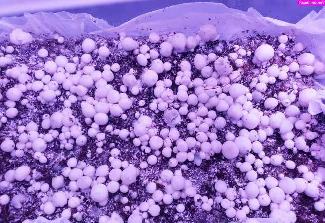 Aintapuppy OnlyFans Thumbnail #yj6IOm18dd