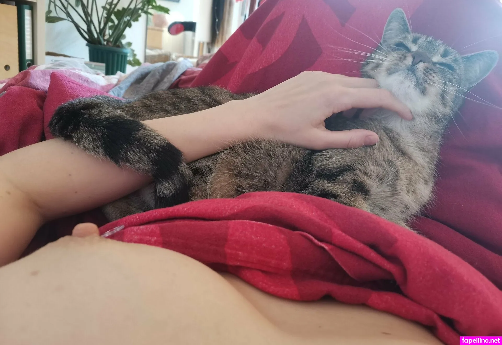 aki_taiyo, aki_taiyo_ Nude Leaked OnlyFans Photo #7B7F2aQMun