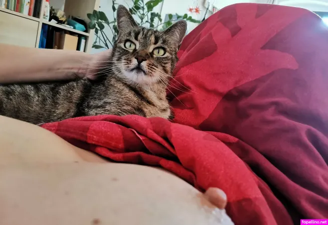 Aki Taiyo OnlyFans Thumbnail #KM8AlT4jKr