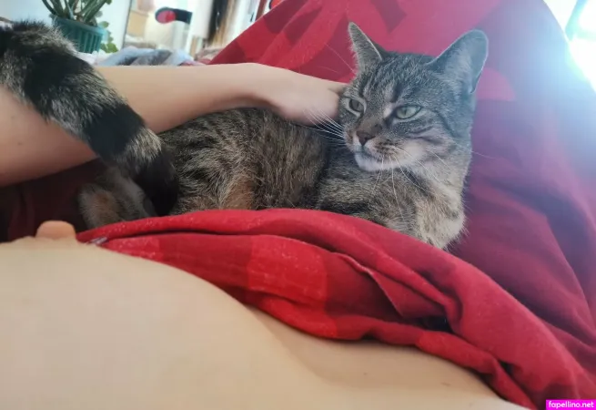 Aki Taiyo OnlyFans Thumbnail #YH3VIknPGC