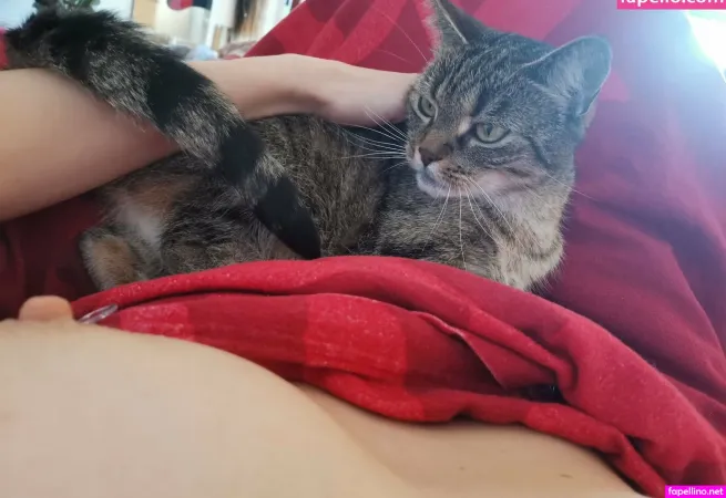 Aki Taiyo OnlyFans Thumbnail #tgvcRnPmgi