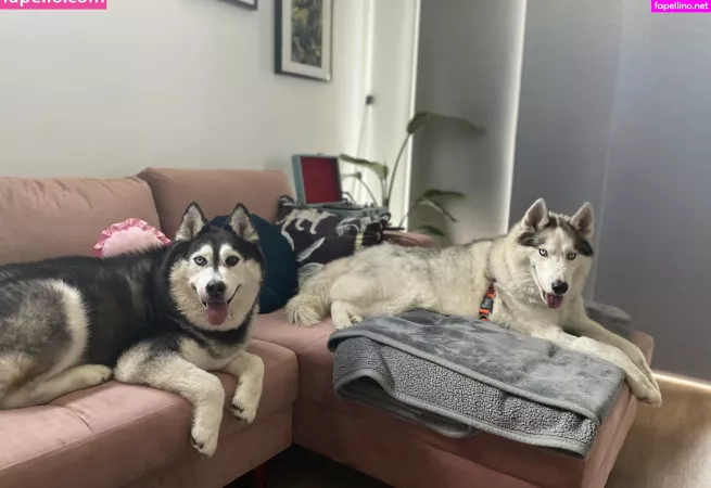 Akiramaisuicide OnlyFans Thumbnail #22RiFsZx4Z