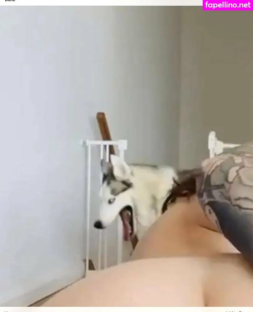 akiramai_sg, akiramaisuicide Nude Leaked OnlyFans Photo #zVX5ktM3kb