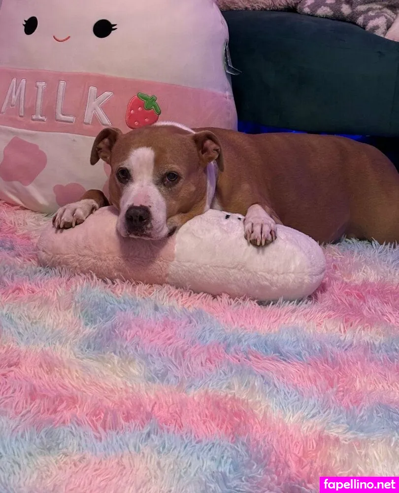 alaska_kat Nude Leaked OnlyFans Photo #gR79edmkmq