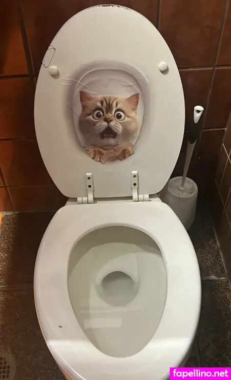 Alchemicalreaction OnlyFans Thumbnail #8eb3lCP8bF