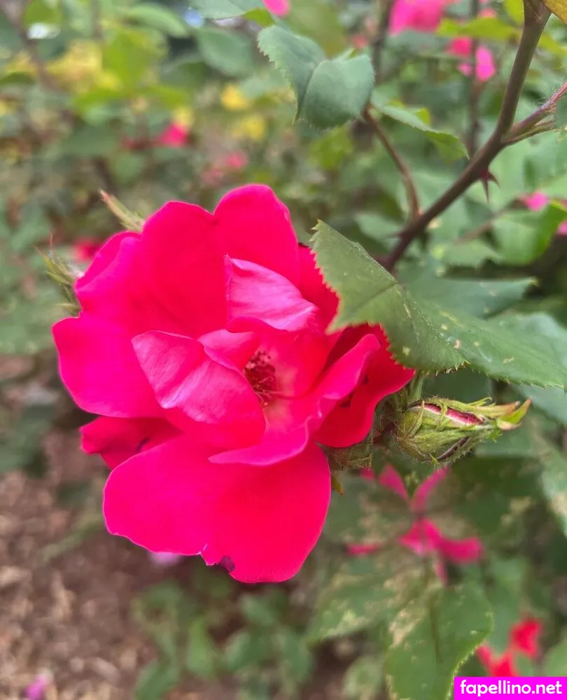 alchemicalreaction, alchemicalreactionco Nude Leaked OnlyFans Photo #xDpgYwFOFb