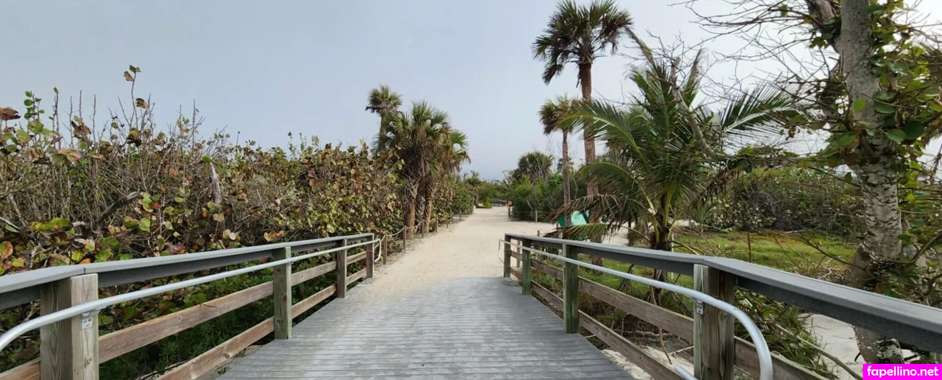 alex.after.dark, alex.alaina.after.dark Nude Leaked OnlyFans Photo #IMa4h5Orws