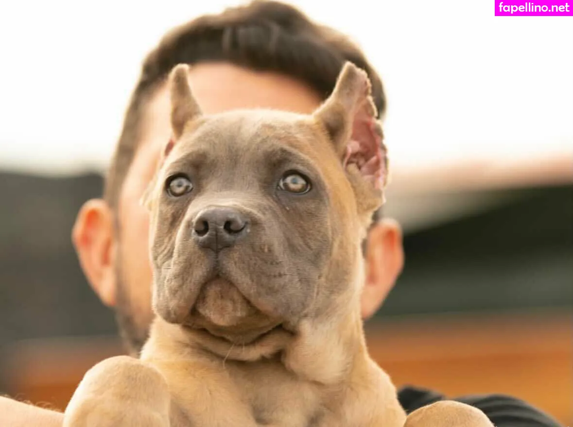 alexapearl, alexasxlife Nude Leaked OnlyFans Photo #JPFmZs0gdV