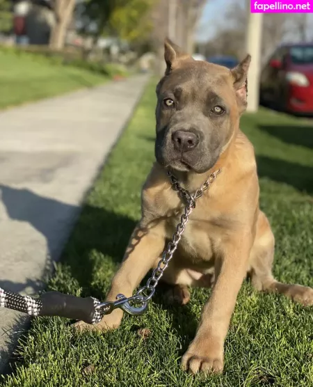 Alexapearl OnlyFans Thumbnail #kwmuv9RH4a