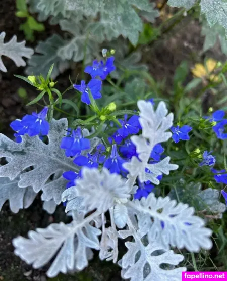 Alexknight OnlyFans Thumbnail #fhRLZLIs2A