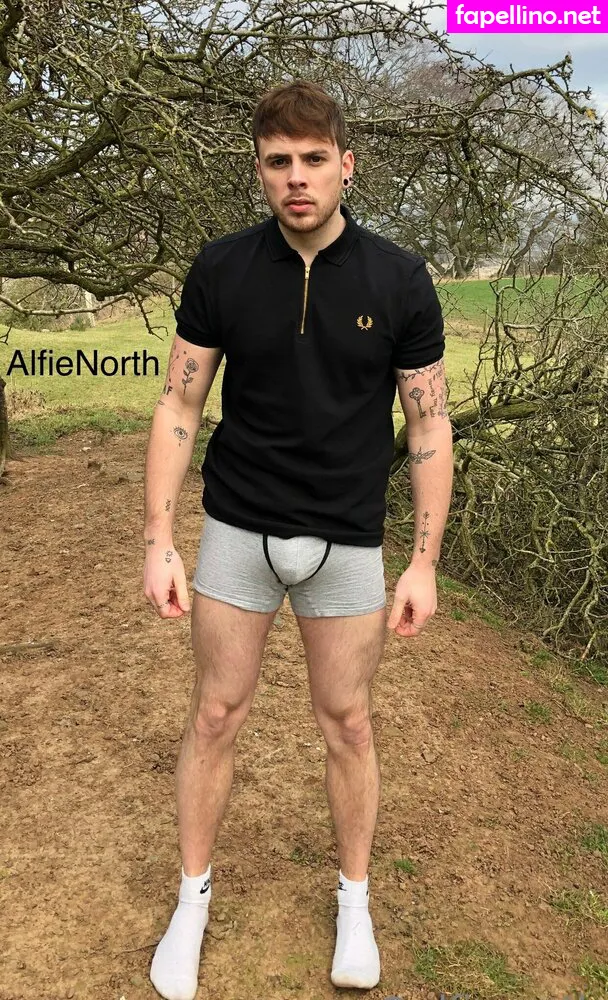 alfienorth, alfienorthfree Nude Leaked OnlyFans Photo #sfvkhkbLoG