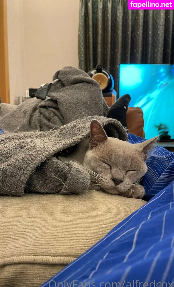 alfredcox Nude Leaked OnlyFans Photo #Eqx8Vsv74A