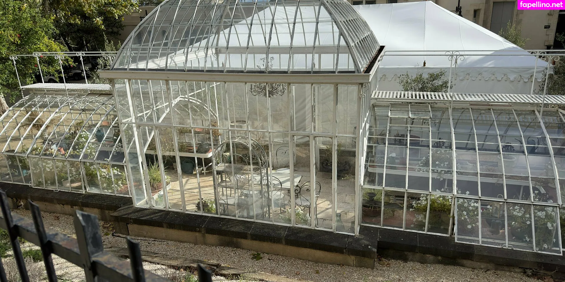 alfredcox Nude Leaked OnlyFans Photo #e6Oe7PqlIE