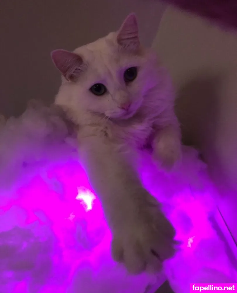 aliceinnude, alicenude92 Nude Leaked OnlyFans Photo #6wICXuxvxz