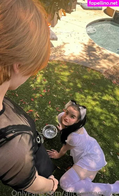 Aliceoncamfree OnlyFans Thumbnail #fiIObP3ufl