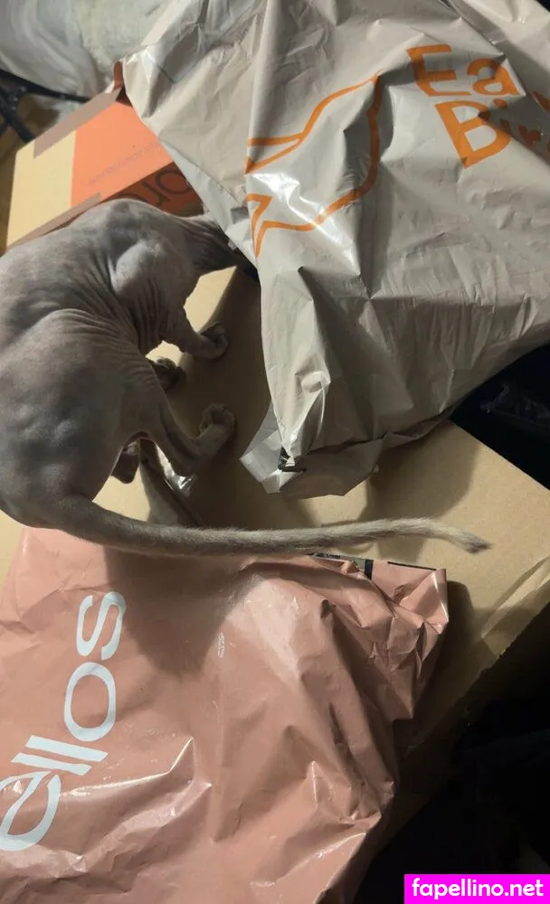 alicestreamar, alicestreamarfree Nude Leaked OnlyFans Photo #shDGBJeaWx