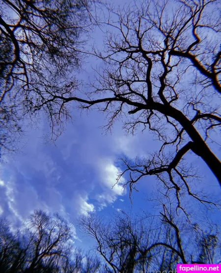 Alignwithjuniper OnlyFans Thumbnail #hnPxnzQrRW