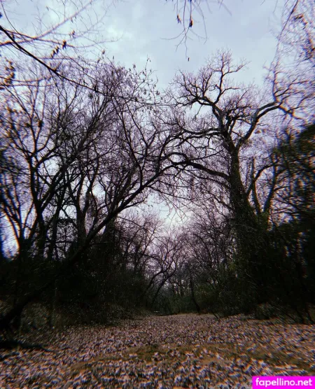 Alignwithjuniper OnlyFans Thumbnail #lq81KXkUcY