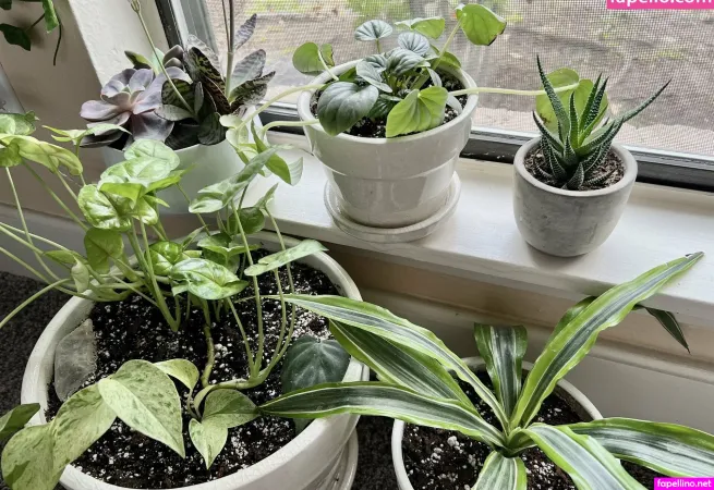 Alignwithjuniper OnlyFans Thumbnail #tMm6sh5D67